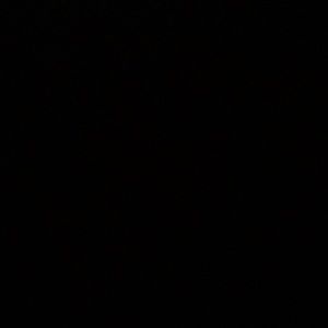 Meet your Posher, Kiara